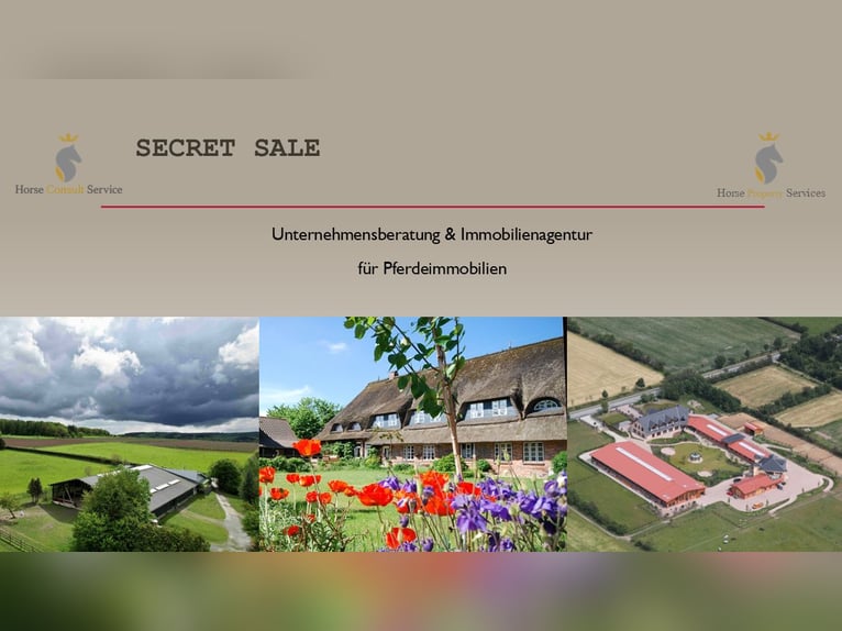 Secret Sale - Etablierter Pferdesportstandort südöstlich von Hamburg