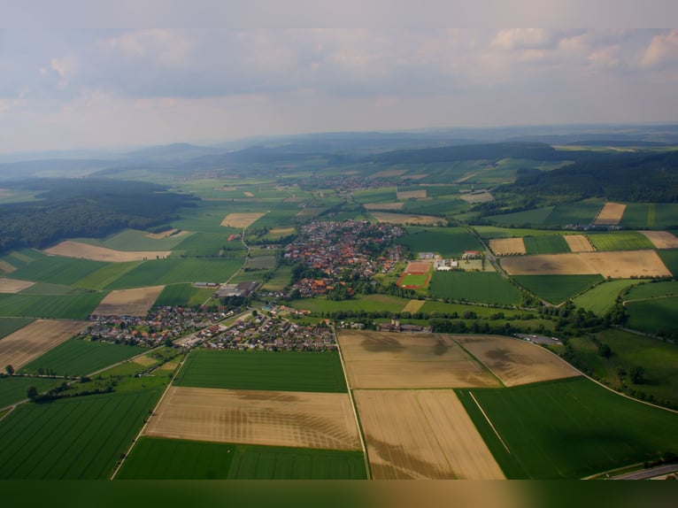 So bauen, wie Sie wollen? Ein Hof mit allen Möglichkeiten!