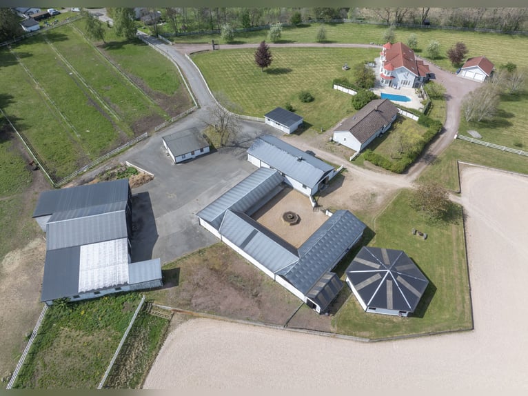 Springfield Farm – An Exclusive Property with International Potential, 18 ha