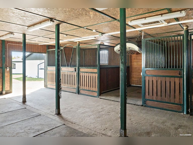 Springfield Farm – An Exclusive Property with International Potential, 18 ha