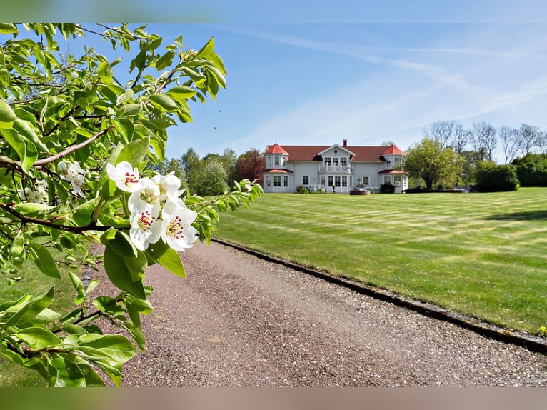 Springfield Farm – An Exclusive Property with International Potential, 18 ha
