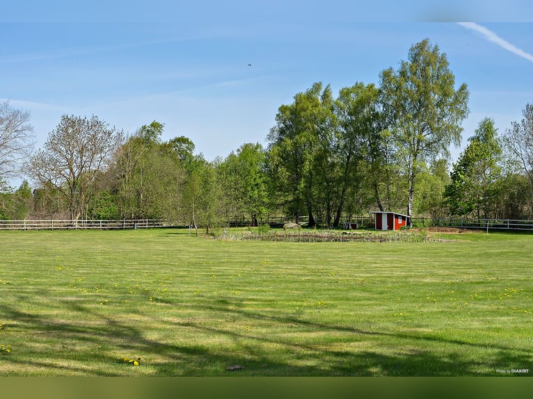 Springfield Farm – An Exclusive Property with International Potential, 18 ha