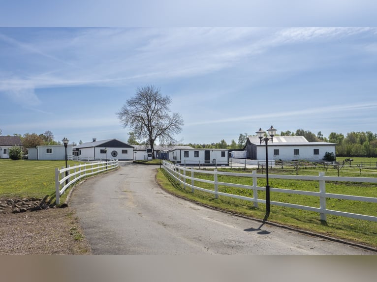 Springfield Farm – An Exclusive Property with International Potential, 18 ha