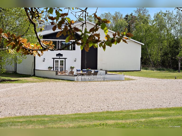 Springfield Farm – An Exclusive Property with International Potential, 18 ha