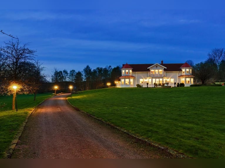 Springfield Farm – An Exclusive Property with International Potential, 18 ha