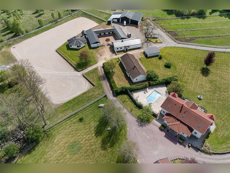 Springfield Farm – An Exclusive Property with International Potential, 18 ha