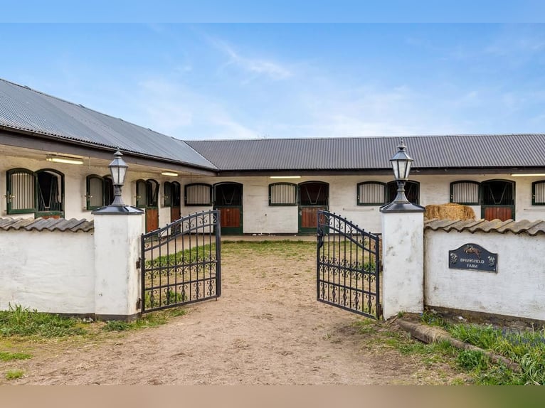 Springfield Farm – An Exclusive Property with International Potential, 18 ha
