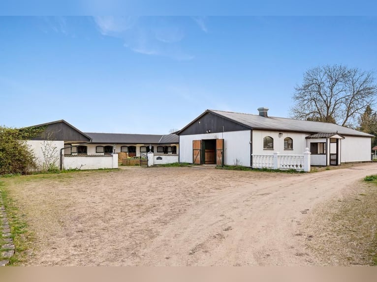 Springfield Farm – Eine exklusive Liegenschaft mit internationalem Potenzial, 8 ha