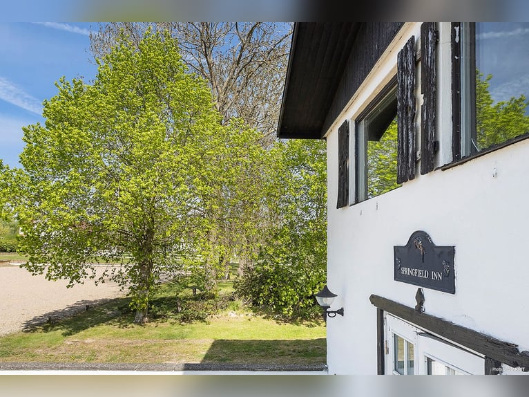 Springfield Farm – Eine exklusive Liegenschaft mit internationalem Potenzial, 8 ha