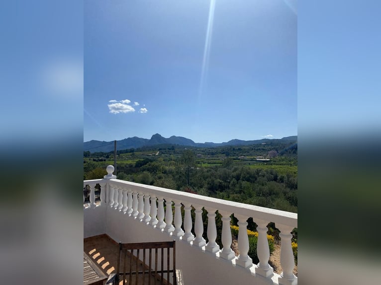 STUNNING EQUESTRIANPROPERTY/LANDHOUSE NEAR XATIVA/VALENCIA