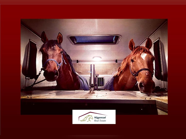 Suche: Reitanlage ab 15 Boxen umfeld München oder Frankfurt Suche: Reitanlage ab 15 Boxen umfeld München oder Frankfurt