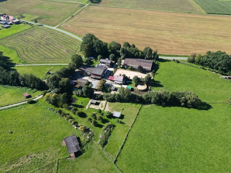 Teilverkauf einer etablierten Ranch- und Reitanlage im Reinhardswald Ca. 8 Hektar Gesamtfläche – Tre