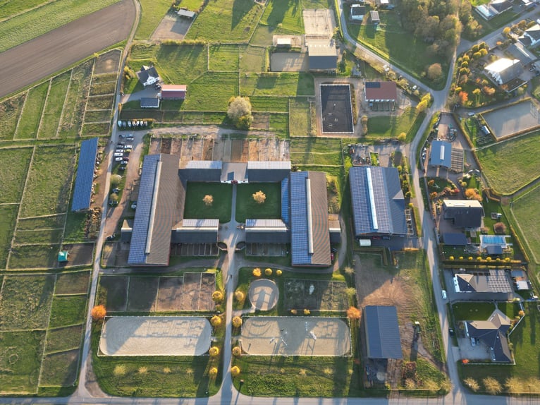 Traumgrundstück mit 2.075 m² für Pferde und Menschen mit Stallbaurecht in Lonnig/RLP nahe Koblenz