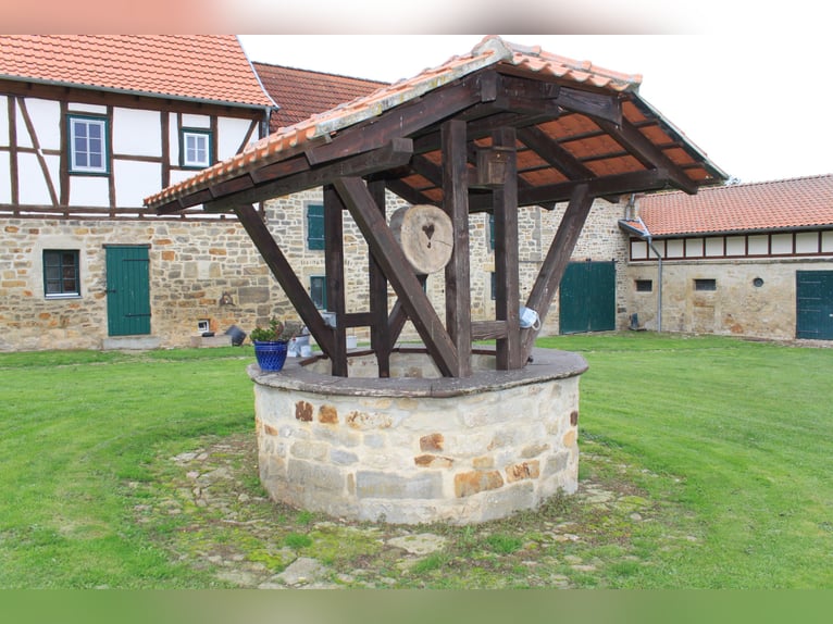 Traumhaft schöner Landsitz mit eigenem Wald, Reiterhof u.v.m. in ruhiger Lage mit guter Anbindung