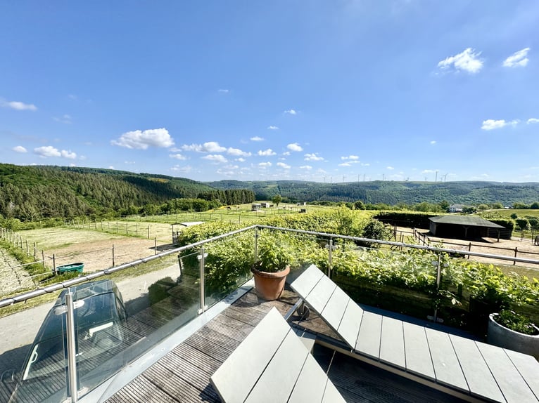 Traumhafte große Reitanlage in Panorama-Lage zwischen Trier und Luxemburg