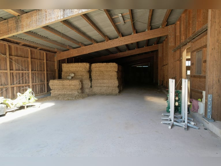 Traumhafte große Reitanlage in Panorama-Lage zwischen Trier und Luxemburg