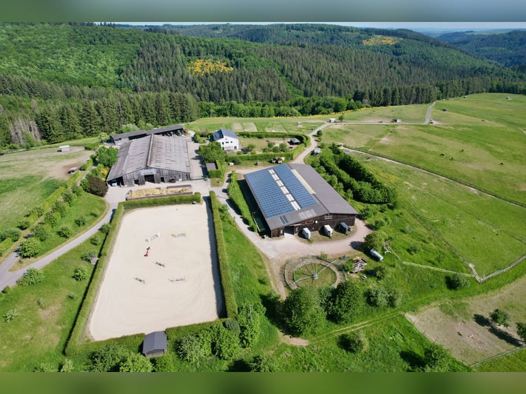Traumhafte große Reitanlage in Panorama-Lage zwischen Trier und Luxemburg