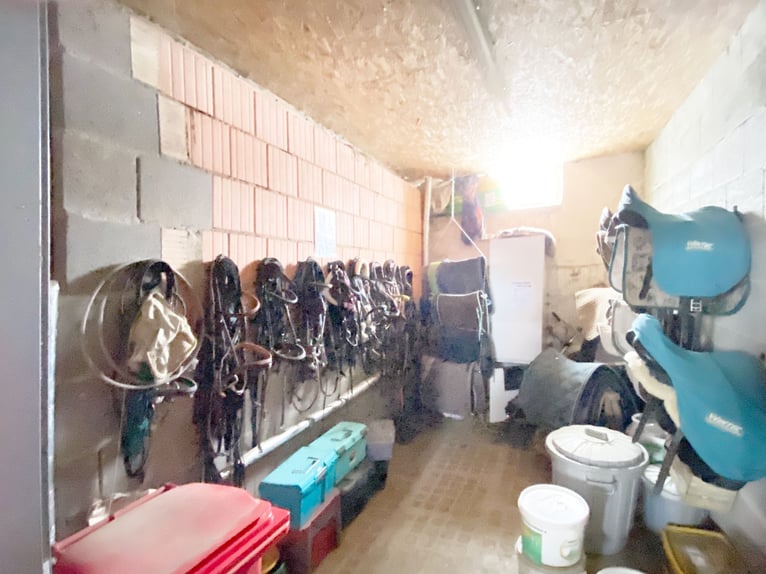 Traumhafte Reitanlage mit Reiterstube – Alleinlage inmitten Südthüringer Natur + perfekte Anbindung