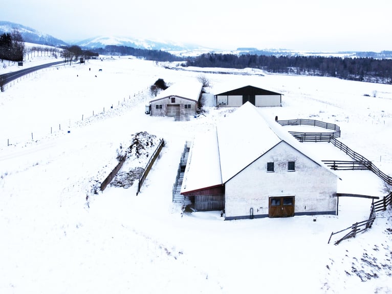 Traumhafte Reitanlage mit Reiterstube – Alleinlage inmitten Südthüringer Natur + perfekte Anbindung