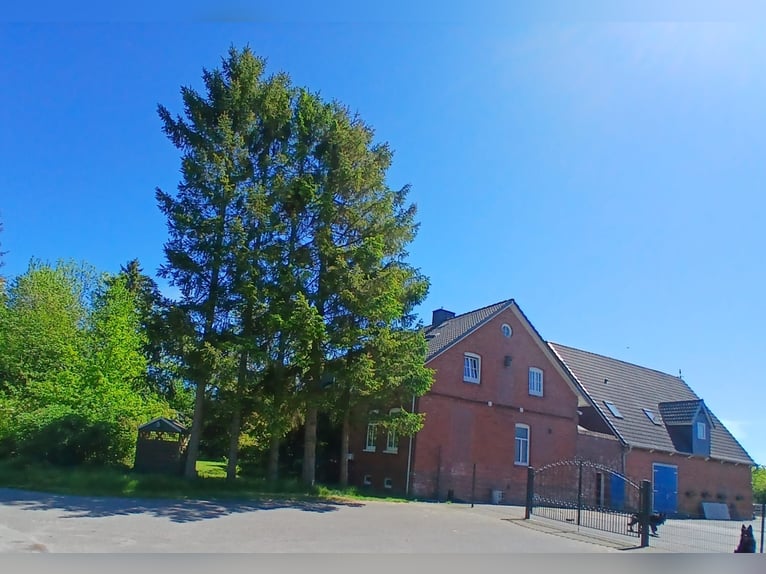 Traumhaftes Anwesen für Pferdebesitzer - Kernsaniertes Landhaus: auf 2,9 Hektar Land!