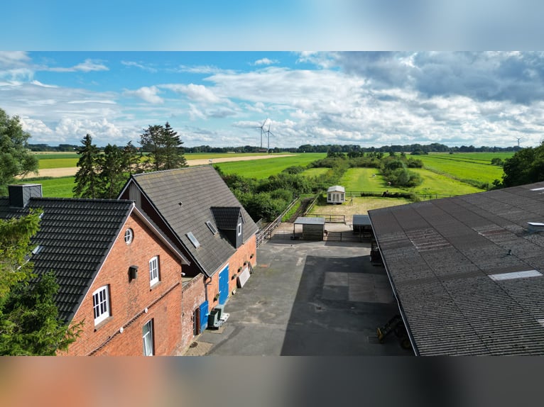 Traumhaftes Anwesen für Pferdebesitzer - Kernsaniertes Landhaus: auf 2,9 Hektar Land!