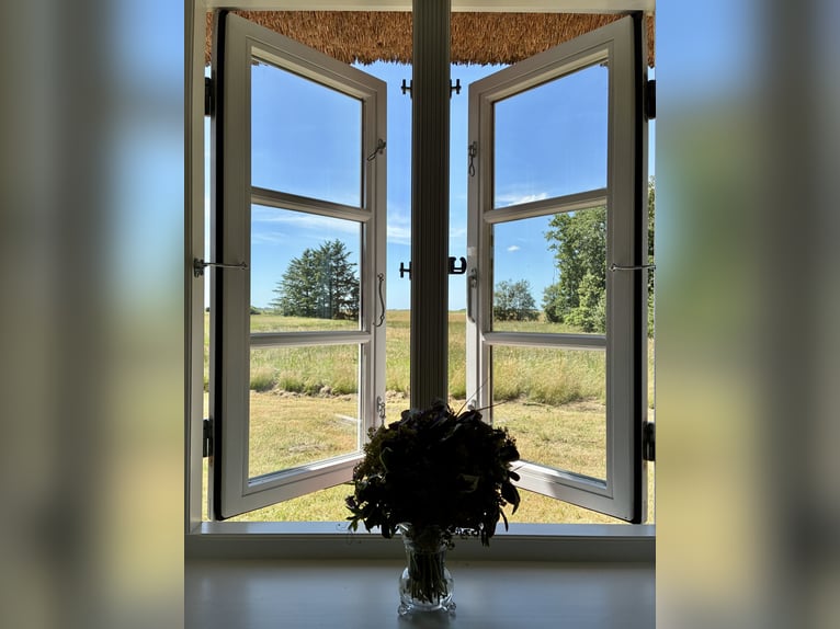 Traumhaftes Reetdachanwesen auf 1,8ha vor Sylt