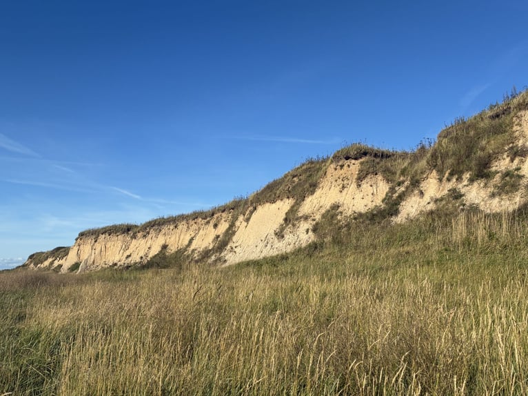 Traumhaftes Reetdachanwesen auf 1,8ha vor Sylt