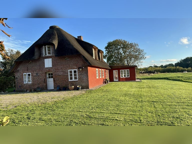 Traumhaftes Reetdachanwesen auf 1,8ha vor Sylt