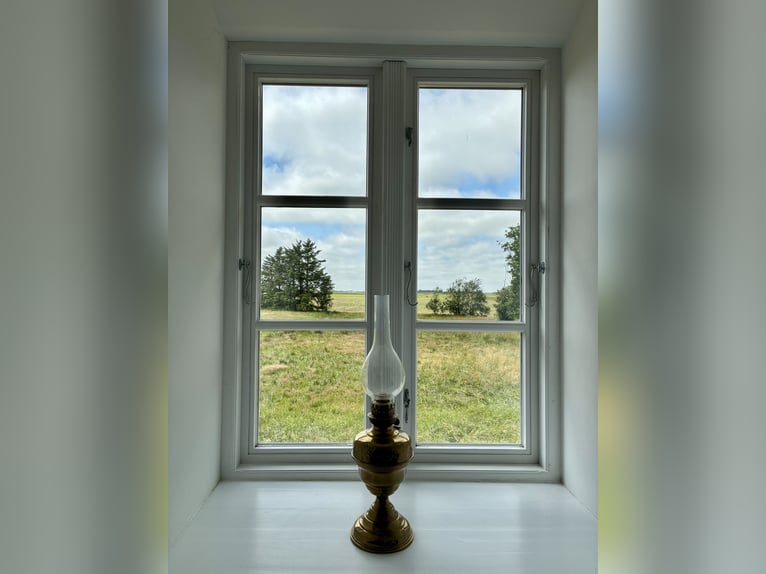 Traumhaftes Reetdachanwesen auf 1,8ha vor Sylt