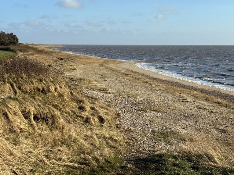 Traumhaftes Reetdachanwesen auf 1,8ha vor Sylt
