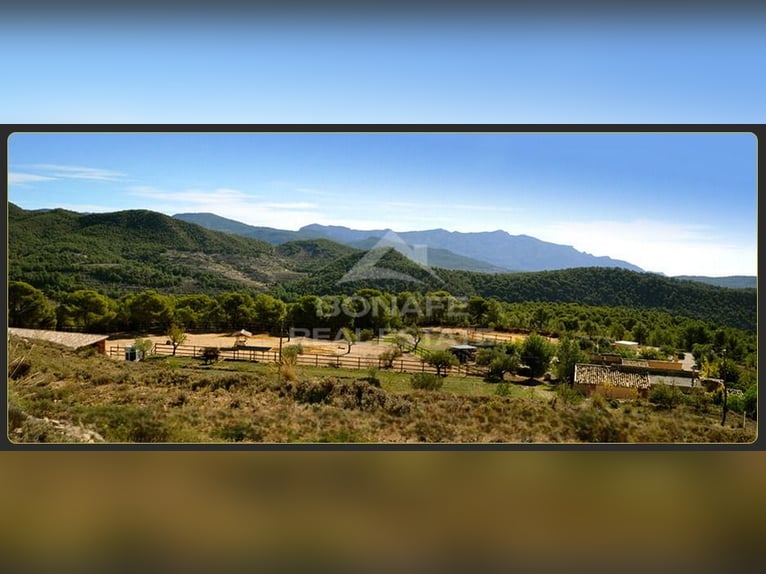 Un paraíso ecuestre entre pinos con vistas al mar en Jijona (Alicante)