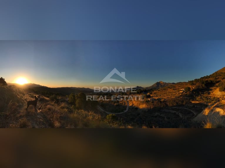 Un paraíso ecuestre entre pinos con vistas al mar en Jijona (Alicante)