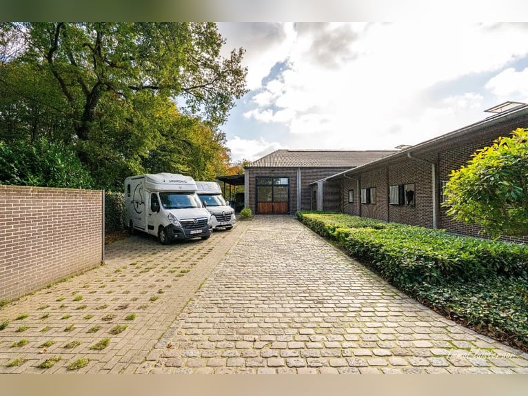 Unieke trainingsstal met prachtige villa op ca. 1 ha te Halle-Zoersel (Mogelijkheid tot aankoop extr