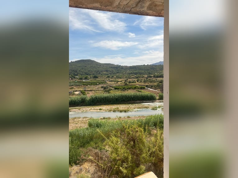 Unique Off-Grid Mountain Home With 360° Panoramic Views and Full Equestrian Facilities 