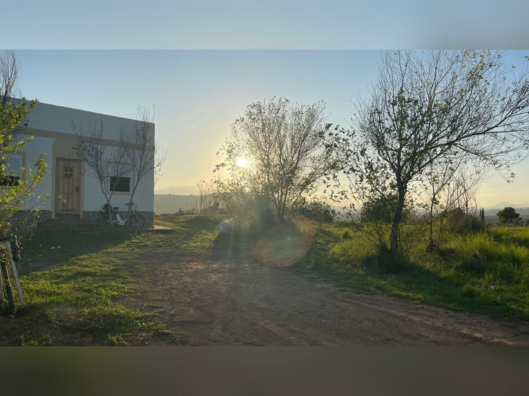 Unique Off-Grid Mountain Home With 360° Panoramic Views and Full Equestrian Facilities 