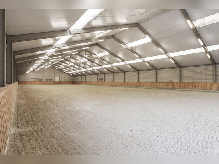 VERKAUFT: Komplette Reitanlage mit Landhaus nähe Deutsche Grenze in NL.