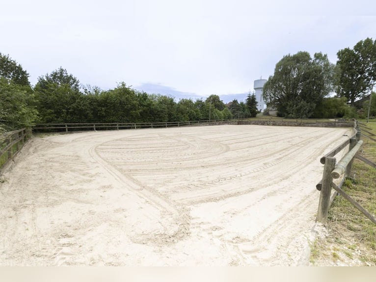 Vielseitig talentierte Reitsportstruktur im Herzen der Brie