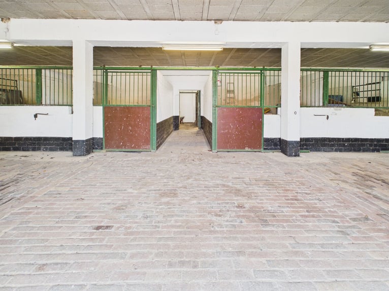 Vierkanthof in Erftstadt – idyllische Hofanlage mit möglicher Pferdehaltung in fast Alleinlage