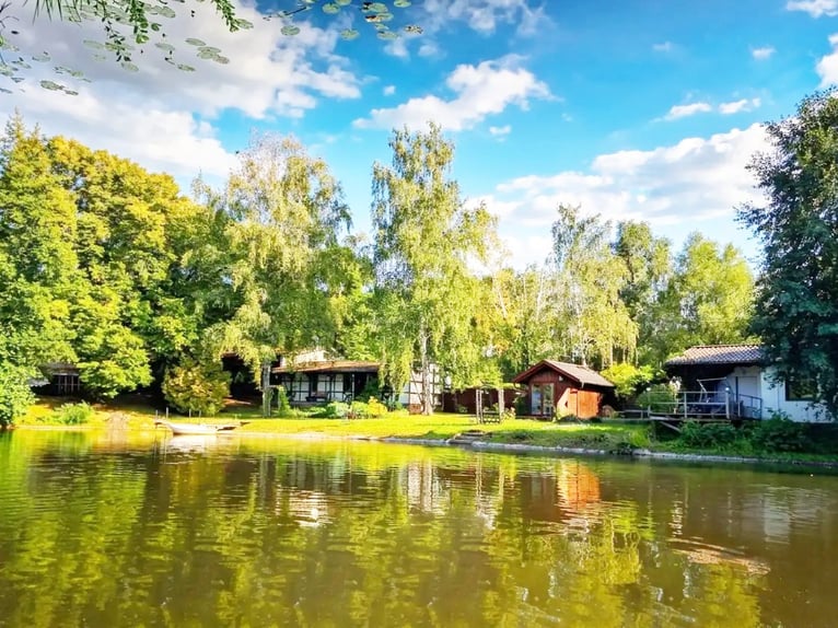 Vierspänner zu Hause: 7 ha Pferdeanwesen mit 4 Boxen, Platz für 4 Kutschen, Weiden, Wald & See inkl.