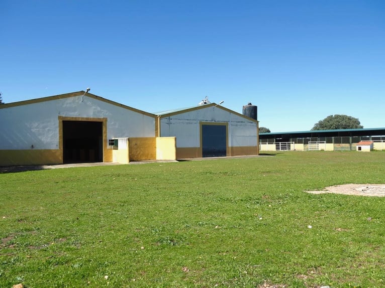 Voll ausgestattete Pferdefinca – 24 ha – Cáceres