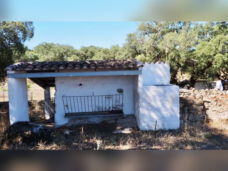 Voll ausgestattetes Landhaus mit Swimmingpool