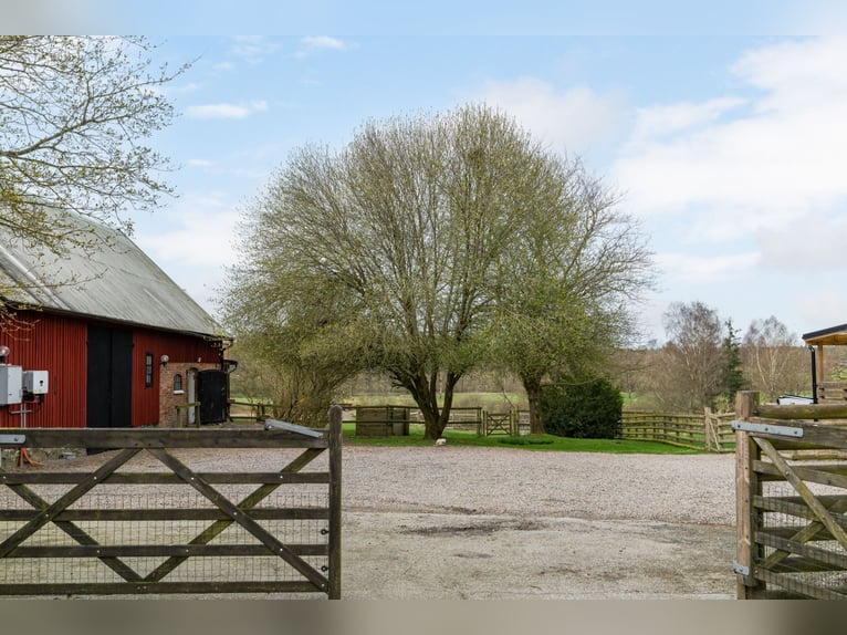 Welcome to this unique and thoughtfully designed equestrian property in Sweden 7,2 ha