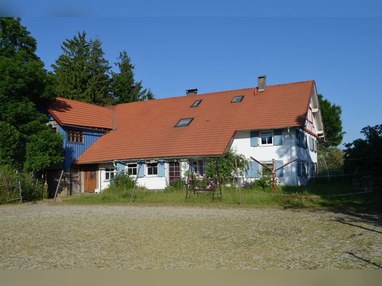 Wohnen mit Pferden im Allgäu