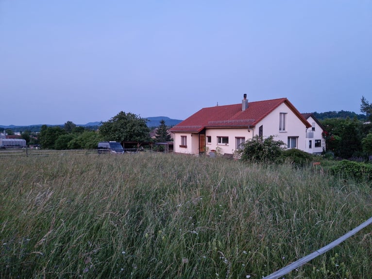 Wohnhaus mit kleinem Offenstall
