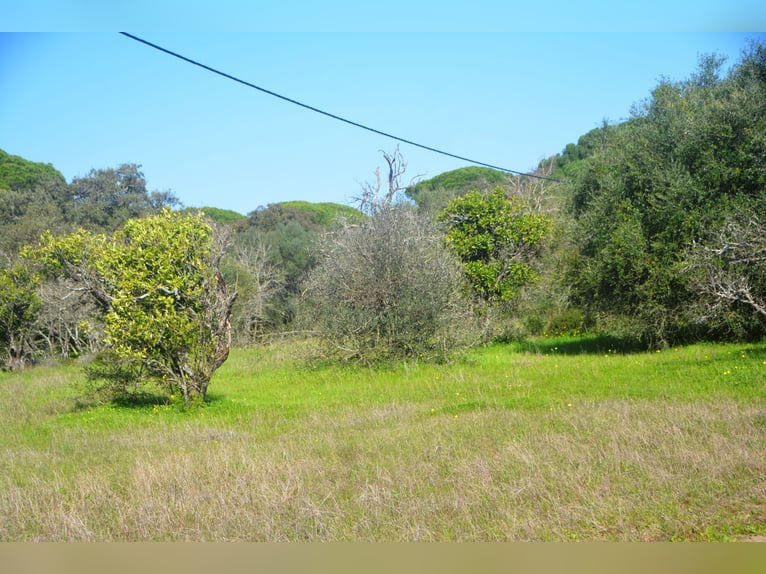 Wunderschöne Finca inmitten herrlicher Natur