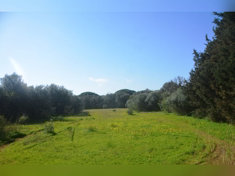Wunderschöne Finca inmitten herrlicher Natur