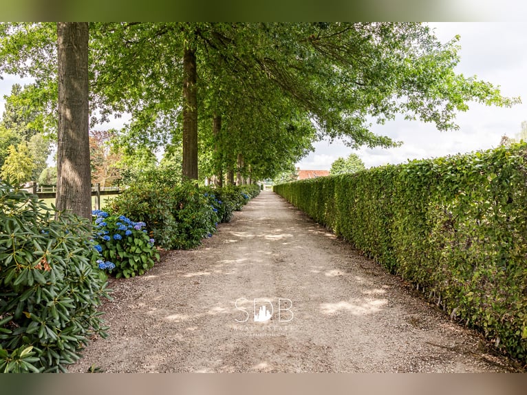 Wunderschöne ländliche Villa mit Familiengarten und Weideflächen auf 32.558 m² in Lochristi | Belgie