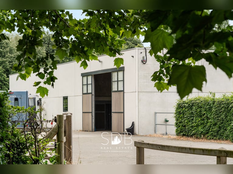 Wunderschöne Villa mit pferdegerechter Ausstattung und Weideflächen auf ca. 23 Hektar – 9800 Deinze