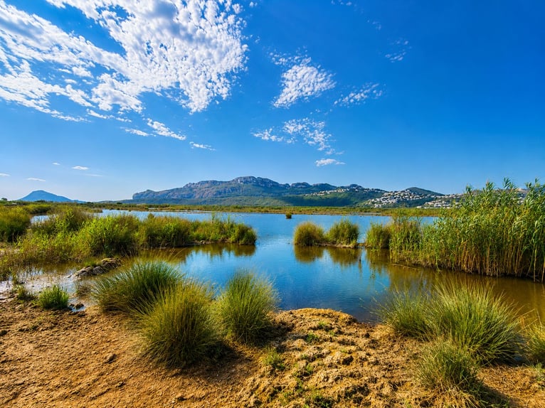 Wunderschönes Reitprojekt in der Nähe von Oliva (MET), in direkter Nähe eines Naturparks