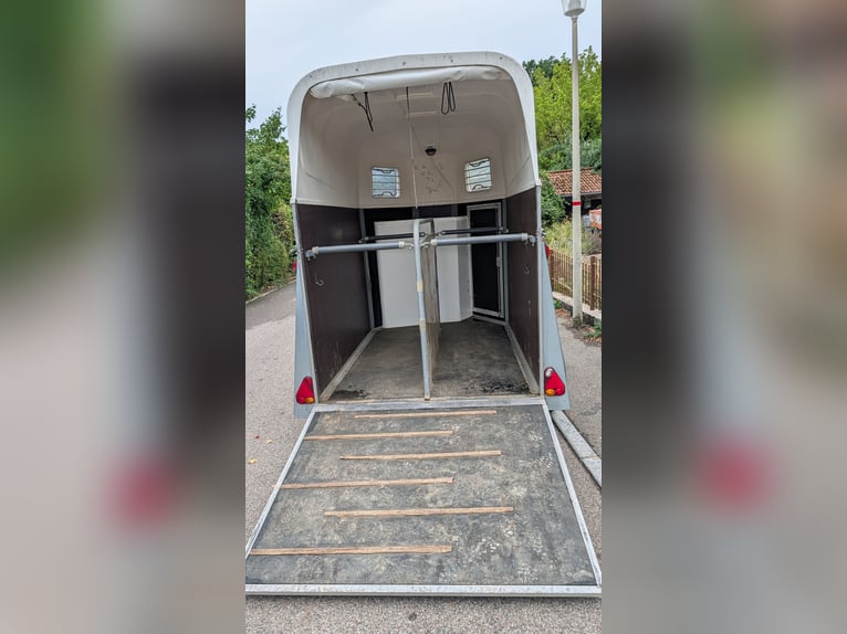 WM Meyer Memphis Pferdeanhänger (2er) | Alu-Boden | TÜV 12/26